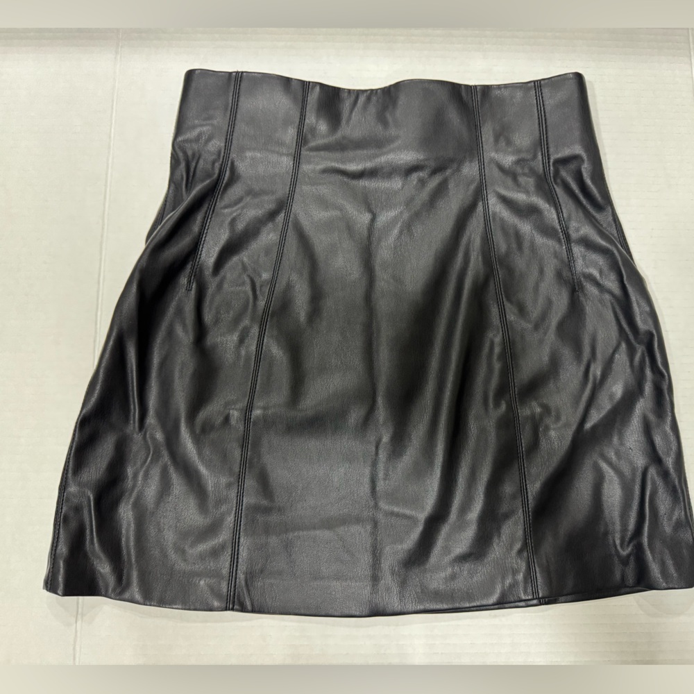Zara Black  Skirt